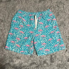 Chubbies Swim Trunks Teal Pink Flamingos Boys Youth Small 8/9 Summer Bright