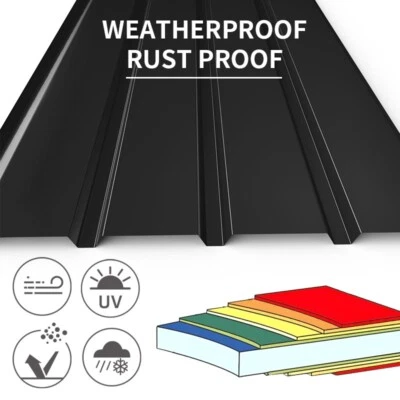 MONDEER 6.2m² 12 X Corrugated Roof Sheets Profile Galvanized Metal 0.3mm THICK