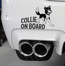 English Border Collie Car Bumper Sticker Scottish Sheep Dog Sheepdog Working Dog
