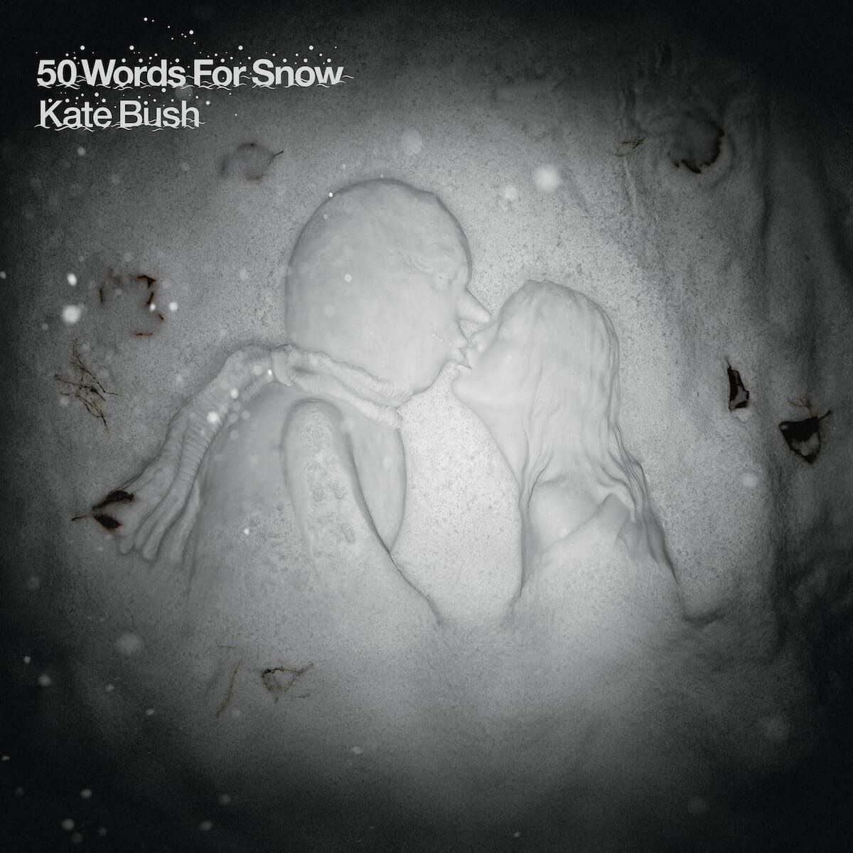 Kate Bush - 50 Words for Snow (Fish People) CD Album