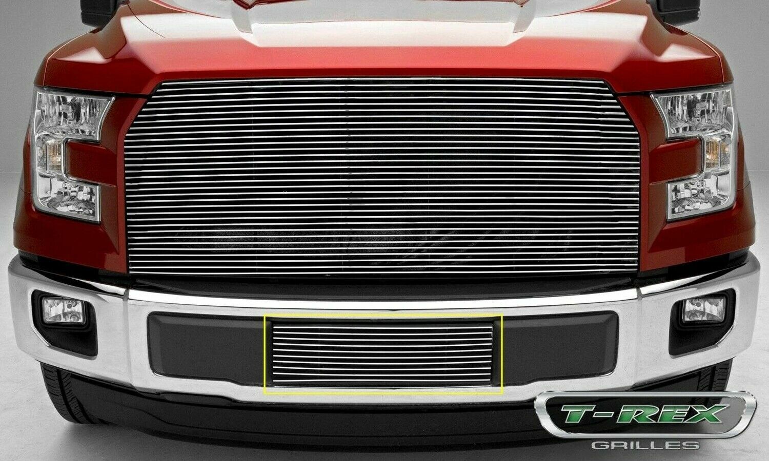fits 2015 2016 2017 F-150 Billet Bumper Grille Polished Insert T-REX made in USA