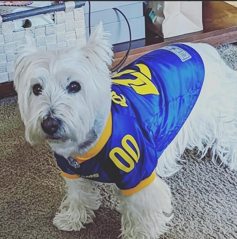 Authentic Dazzle Fabric Los Angeles Rams Dog Jersey