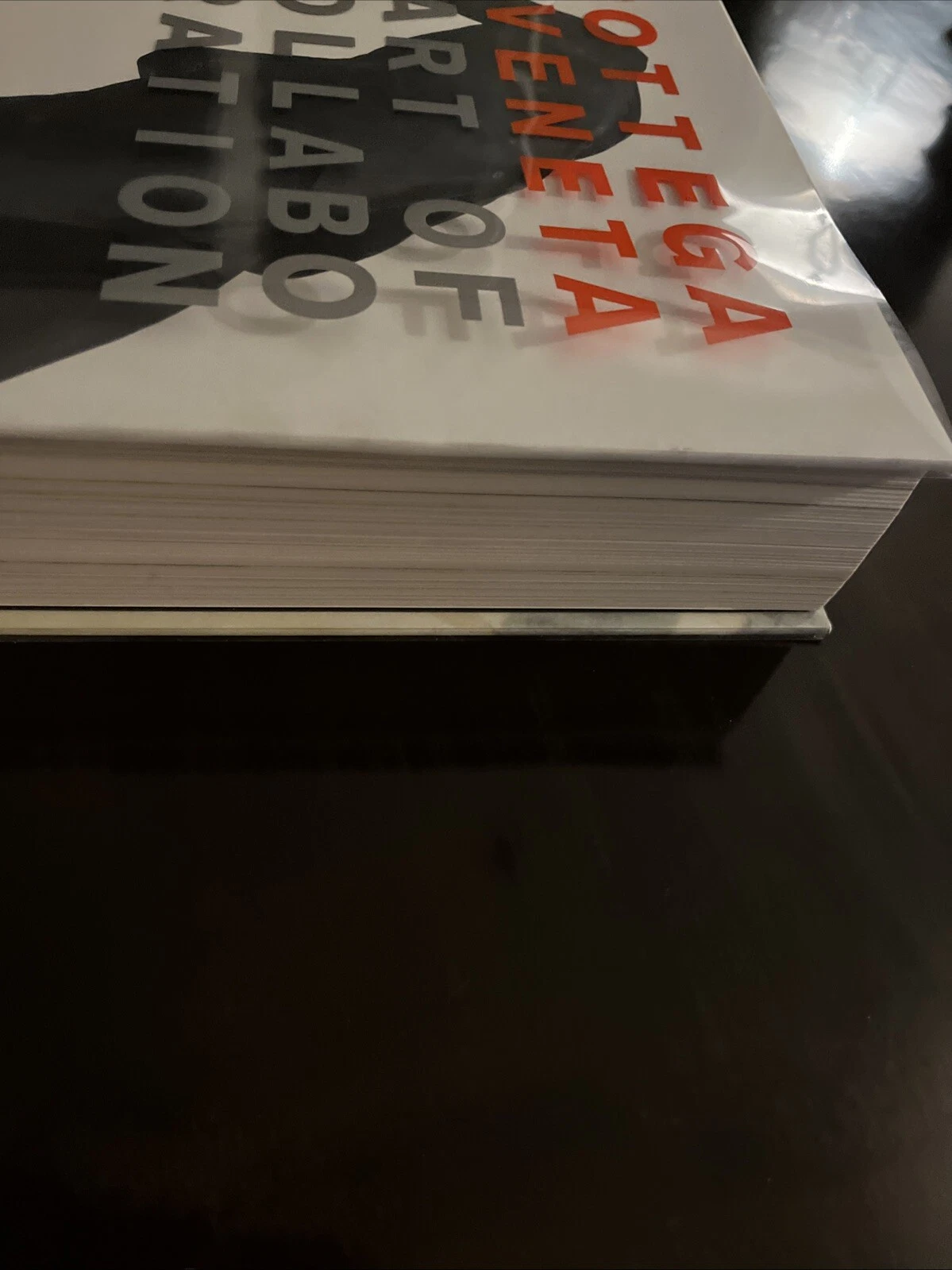 Bottega Veneta: Art of Collaboration: Art of Collaboration [Hardcover] Maier 