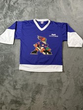 Tucson Roadrunners Hockey Jersey Boys 16 Purple AHL Hockey USA Fan Promo