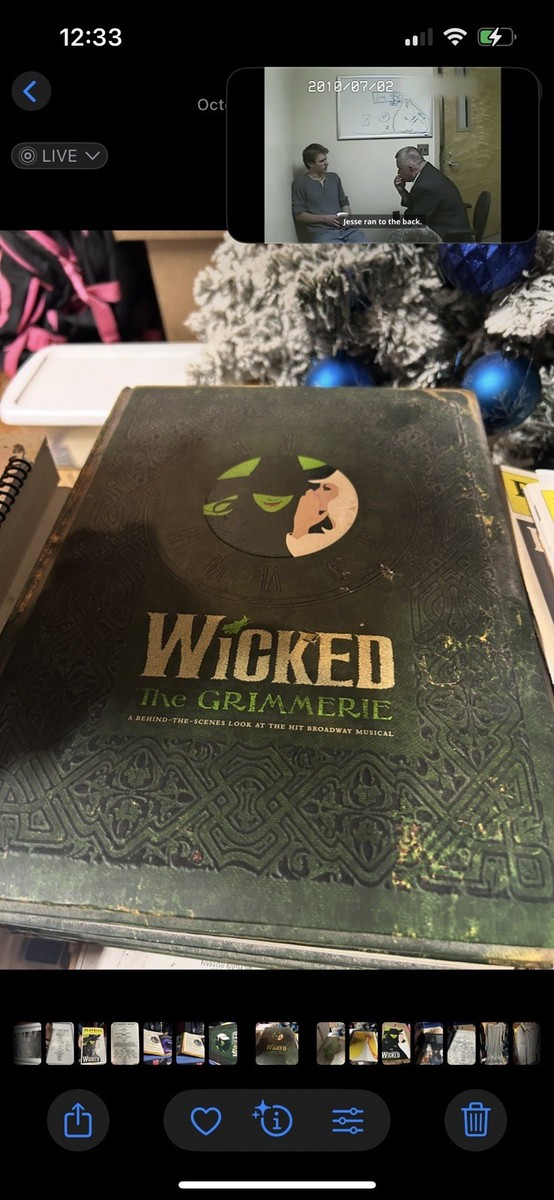 Wicked : The Grimmerie, a Behind-The-Scenes Look at the Hit