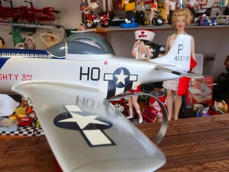 Aereo Di Legno El 40Cm Mustang P-51 Krips Mighty 1/48 - Immagine 4 di 4