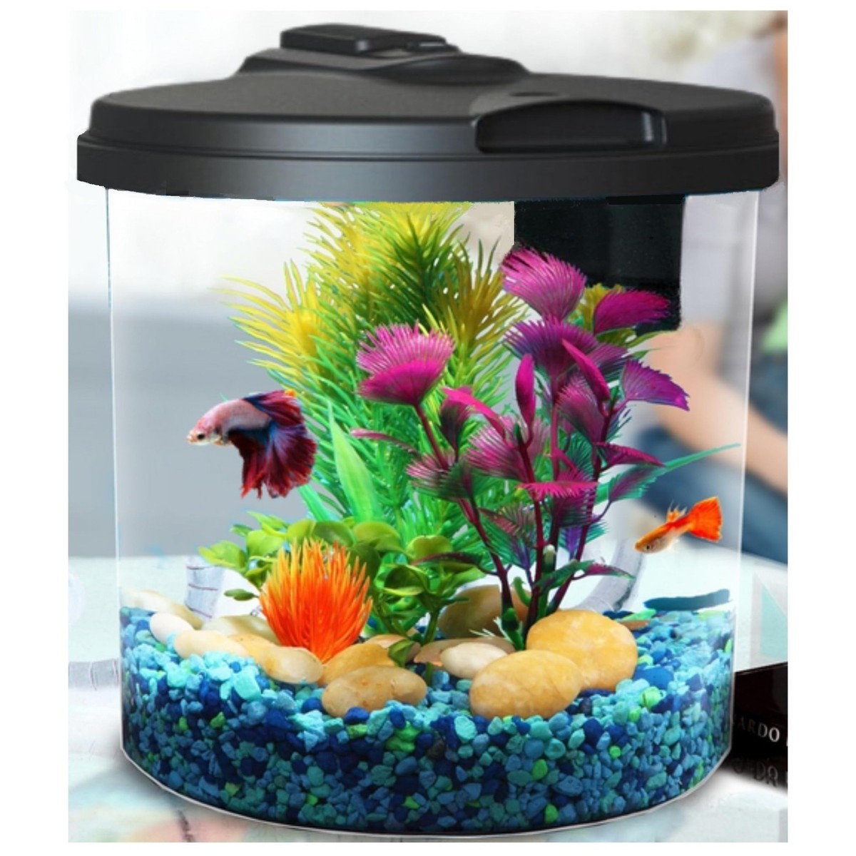 Koller Products AquaView 2-Gallon Plastic 360 Aquarium with Power