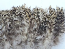 NATURAL GRIZZLY VARIANT NECK HACKLE FEATHERS FLY JIG TYING MATERIAL 3-4" or 4-6"