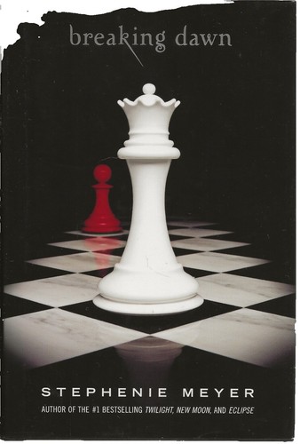Painting and the Novel Hardcover Jeffrey Meyers 9780064947923| eBay