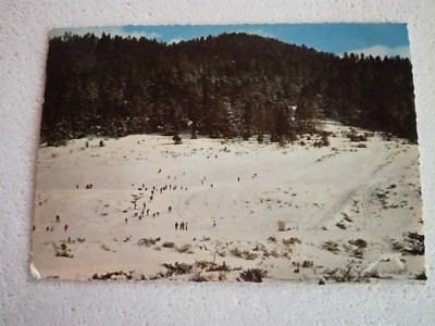 Postcard ''Payolle'' The slopes and the forest - route du Col d'Aspin