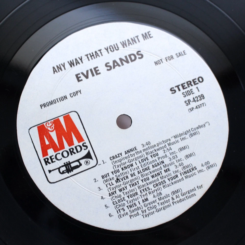 ORIGINAL 1970 PROMO EVIE SANDS FOLK PSYCH MASTERPIECE ALBUM VINYL LP VERY RARE Foto 4 de 4