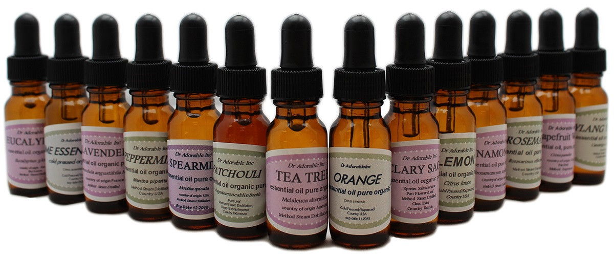 Beginners Best of the Best AromatherapyTherapeutic Essential Oil Set 14 / 0.6 oz