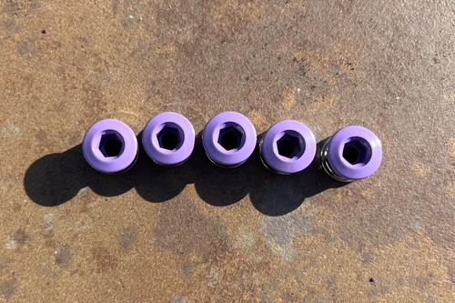 OLD SCHOOL BMX NEW POWER DISC CHAINRING Fixing BOLTS TIOGA LAVENDER SINGLE GEAR