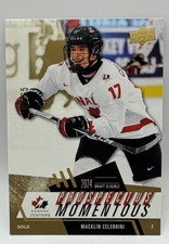2013 Upper Deck National Hockey Card Details 13