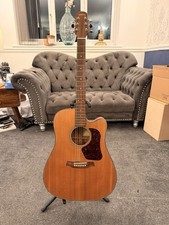 Walden D550CE All Solid Wood Electro-Acoustic Guitar with Gig case