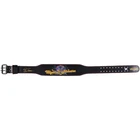 Cody Rhodes Signed WWE Wrestlemania 41 American Nightmare Lifting Belt Fanatics