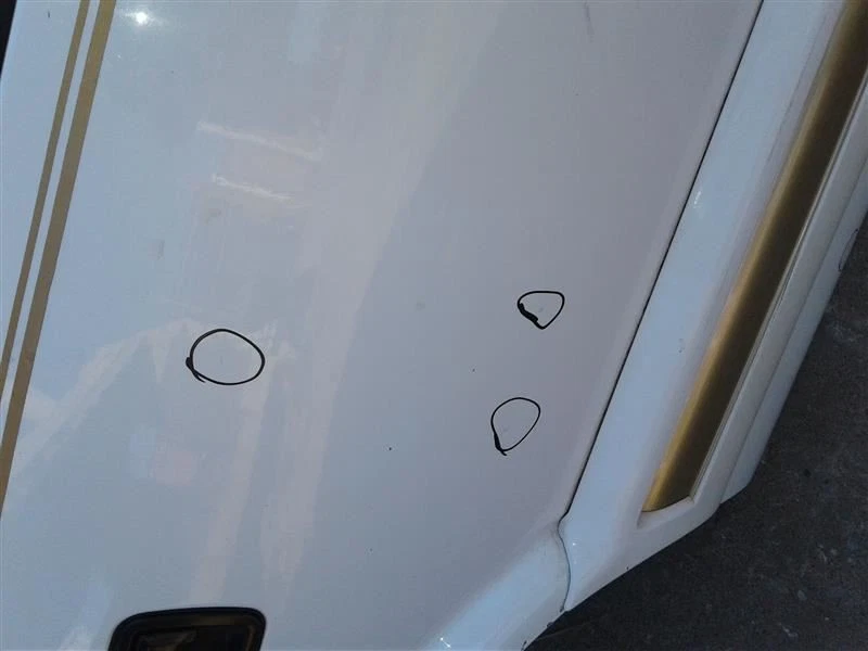 (LOCAL PICKUP ONLY) Passenger Rear Side Door Electric Fits 95-97 BLAZER S10/JIMM Foto 4 de 4