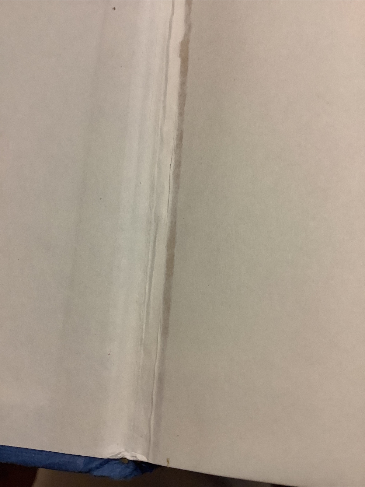 Picture 9 of 12