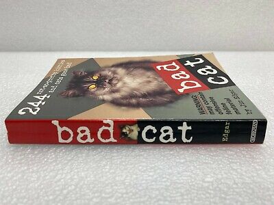 Bad Cat: 244 Not-So-Pretty Kitties and Cats Gone Bad