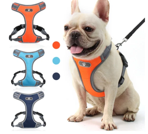 Clearance Sale Joblot 20 Bright Color Dog Harness