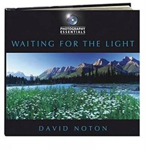 Waiting for the Light Paperback David Noton - Picture 1 of 2