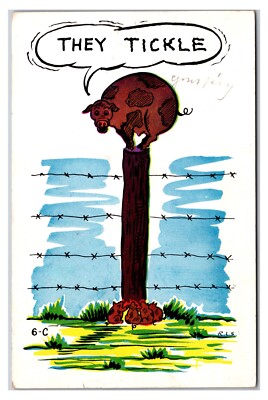 Vintage 1950s - ''They Tickle'' Funny Pig Cartoon Postcard (Posted 1959)