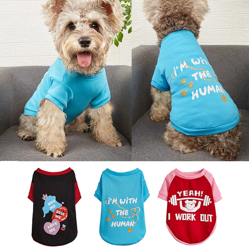 Gilet pour petit chien new arrivals