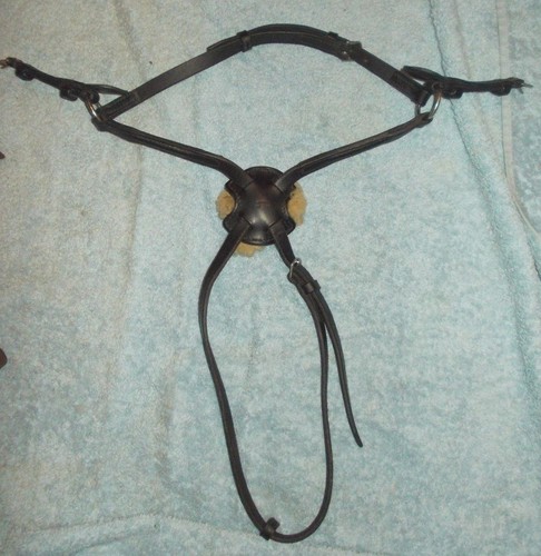 albion grackle noseband albion grackle noseband
