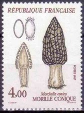 1987 FRANCE TIMBRE Y & T N° 2490 Neuf * * SANS CHARNIERE