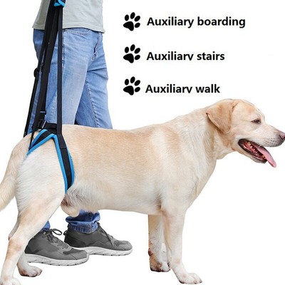 paralyzed dog harness