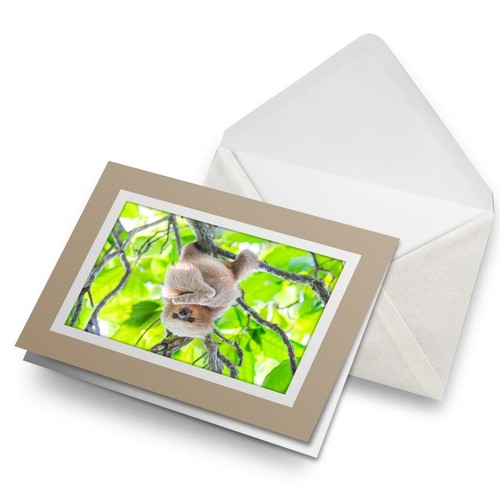 Greetings Card (Biege) - Cheeky Hanging Sloth in Jungle #21429 - 第 1/8 張圖片