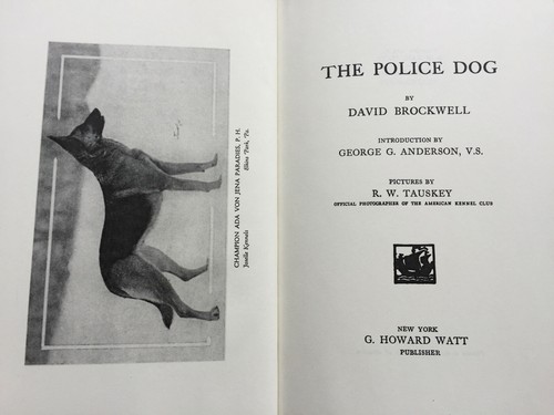 dogs dog alsatian police training breeding german shepherd brockwell GSD - Picture 2 of 4