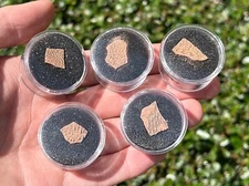 Theropod Dinosaur Eggshell Fossil in Case ONE PER PURCHASE China Raptor Dino Egg