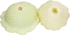 Summer Squash, Early White Bush Scallop Seeds