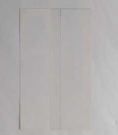 [Obi Only] Silhouette Mirage Sega Saturn Obi Spinecard