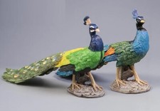 2pc Peafowl Peacock Bird Animal Toy PVC Action Figure Doll Kids Toys Party Gifts