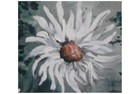 Bild 6 von 8