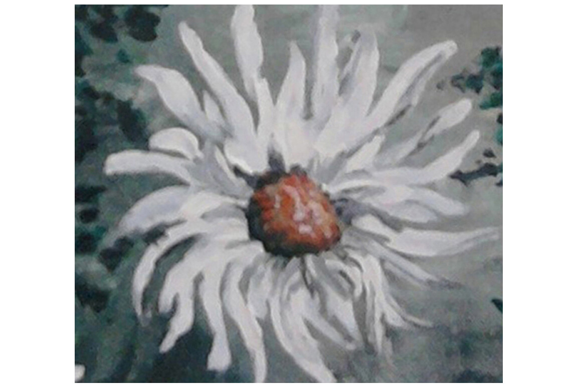 Bild 6 von 8