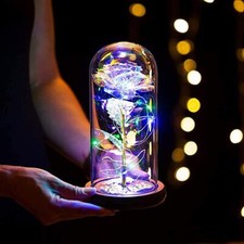 Glass Rose in Glass Dome, Light Up Flower, Eternal Roses - Valentines Day Gifts
