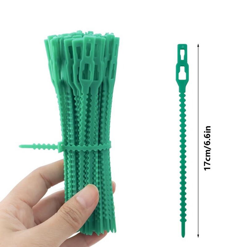 RayLynn 100 Gartenclips Groß – Pflanzenstütze Für Reben & Tomaten, Einfach Zu Handhaben