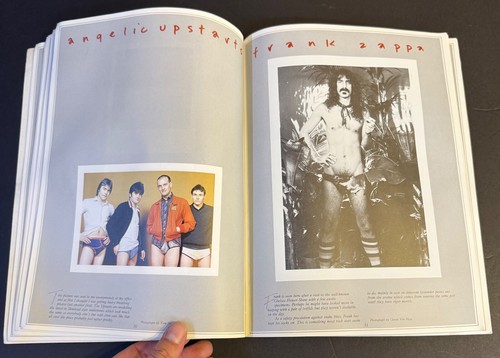 ROCK STARS IN THEIR UNDERPANTS Paula Yates RARE BOOK 1980 UK Zappa Van Halen... - Picture 6 of 9