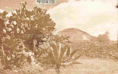San Juan Teotihuacan MX Piramide-del-Sol Pyramide Kaktus Agave Ruinenstaette Wol