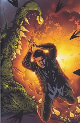 Angel: After The Fall (Serie 2007) Heft 11 - Cover A (IDW / englisch)