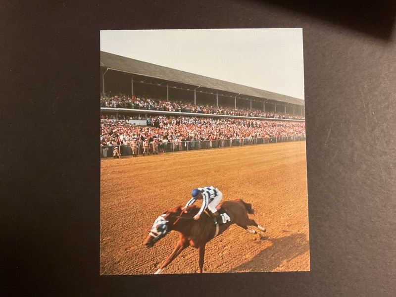 SECRETARIAT 5 Clippings  Horse Racing 1973 BELMONT STAKES