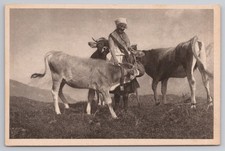 Farmer with Cows on Alp Loreaalm Tyrol Austria 1910s Lilli v Weedl