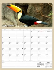 2026 - 2027 Calendar Magnetic Peel  Stick 18 Months Planner 8.5" x 11" Birds