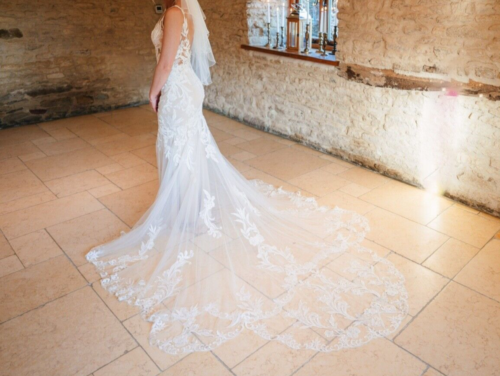 Enzoani Elysee Etoile Francesca Wedding Dress Nude Size 10 - Picture 5 of 13