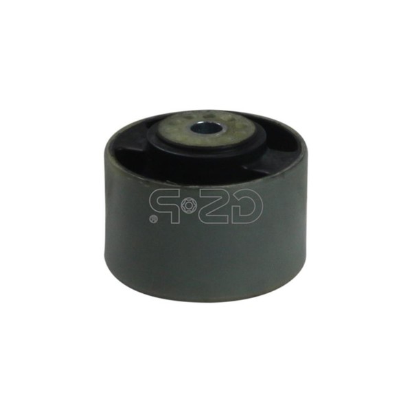 GSP Lagerung Motor Hinten FüR Peugeot 206 SchräGheck 2A/C 307 3A/C 2E/K-image
