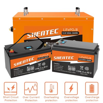LiFePO4 Akku 12V 30Ah 50Ah 100Ah 150Ah 200Ah Lithium Batterie BMS für RV Boot