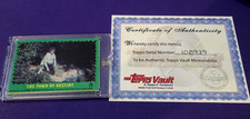 1979  TOPPS THE INCREDIBLE HULK TOPPS VAULT #1/1 pawn of destiny 22 lou ferrigno